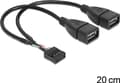 Miniatyrbild 4 av 5: Delock - USB-intern till extern kabel - USB (hona) till 9-stifts USB-överdel (hona) - 20 cm