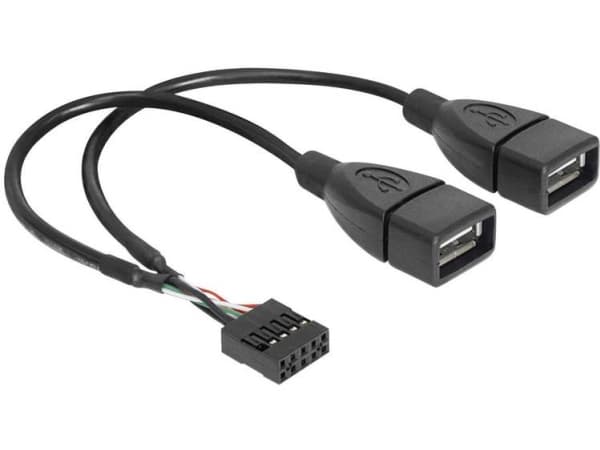 Delock - USB-intern till extern kabel - USB (hona) till 9-stifts USB-överdel (hona) - 20 cm