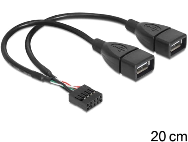 Delock - USB-intern till extern kabel - USB (hona) till 9-stifts USB-överdel (hona) - 20 cm