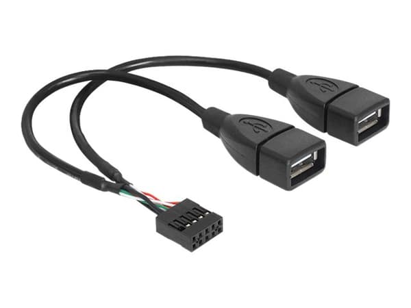 Delock - USB-intern till extern kabel - USB (hona) till 9-stifts USB-överdel (hona) - 20 cm