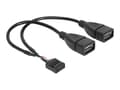 Miniatyrbild 1 av 5: Delock - USB-intern till extern kabel - USB (hona) till 9-stifts USB-överdel (hona) - 20 cm