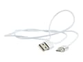 Miniatyrbild 5 av 5: Cablexpert - USB-kabel - USB (hane) till 24 pin USB-C (hane) avtagbart och magnetiskt - 1 m - silver