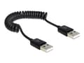 Miniatyrbild 1 av 5: Delock - USB-kabel - USB (hane) till USB (hane) - USB 2.0 - 60 cm - lindad - svart