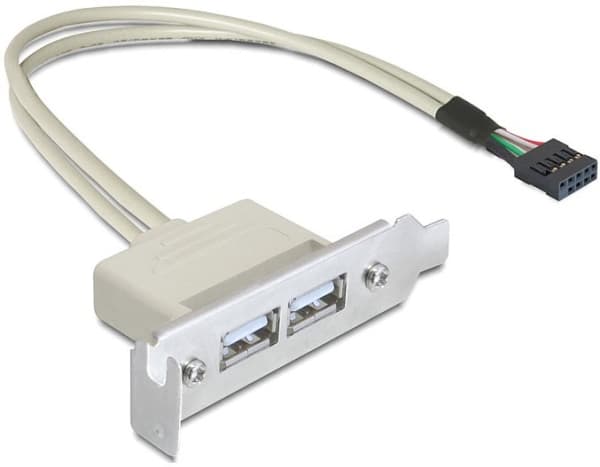 Delock Slot bracket - USB-kabel - USB (hunn) til 9-pins USB-header (hunn) - USB 2.0 - 50 cm