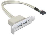 Delock Slot bracket - USB-kabel - USB (hunn) til 9-pins USB-header (hunn) - USB 2.0 - 50 cm