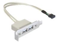 Delock Slot bracket - USB-kabel - USB (hunn) til 9-pins USB-header (hunn) - USB 2.0 - 50 cm