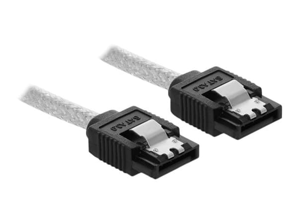 Delock - SATA-kabel - Serial ATA 150/300/600 - SATA (R) til SATA (R) - 20 cm - gjennomsiktig