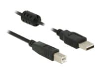 Delock - USB-kabel - USB (hane) till USB typ B (hane) - USB 2.0 - 50 cm - svart
