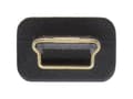 Miniatyrbild 3 av 5: InLine 31850F, 5 m, USB A, Mini-USB B, USB 2.0, hane/kvinna, svart