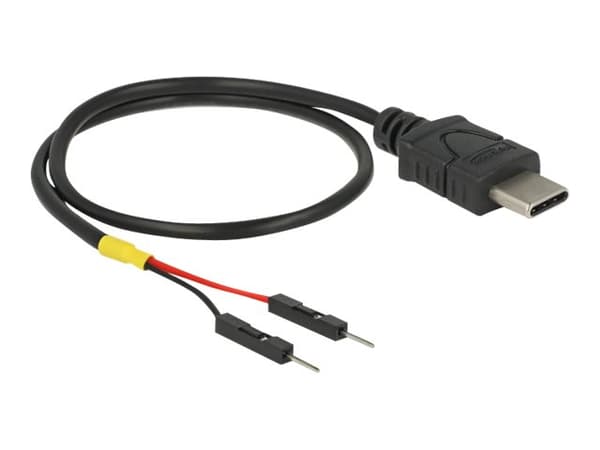 Delock - USB/strøm-kabel - 24 pin USB-C (hann) til 2-pins USB-header (hann) separat - 30 cm - svart
