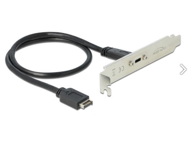Delock Slot bracket - USB-panel - 20-stifts USB 3.1-header (hann) til 24 pin USB-C (hunn) - 20 V - 3 A - 50 cm - svart