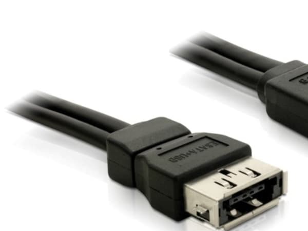 Delock Power Over eSATA cable - Power Over eSATA-kabel - Serial ATA 150/300 - 11 pin USB/eSATA (5 V) (hann) til 11 pin USB/eSATA (5 V) (hunn) - 1 m -