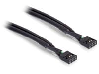 Delock - USB-kabel - 10-stifts USB-överdel (hona) till 10-stifts USB-överdel (hona) - 50 cm