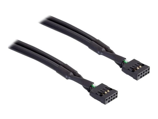 Delock - USB-kabel - 10-stifts USB-överdel (hona) till 10-stifts USB-överdel (hona) - 50 cm