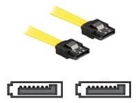 Delock - SATA-kabel - Serial ATA 150/300 - SATA (hona) till SATA (hona) - 50 cm - sprintlåsning, rak kontakt - gul