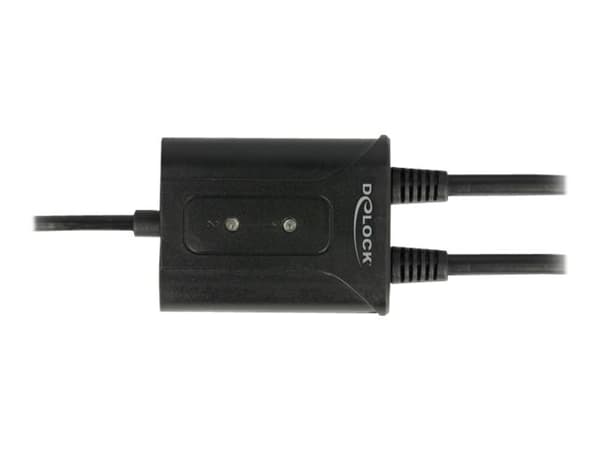 Delock USB 2.0 to 2 x serial RS-232 - Seriell adapter - USB 2.0 - RS-232 x 2