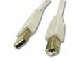 Miniatyrbild 3 av 5: C2G - USB-kabel - USB (hane) till USB typ B (hane) - USB 2.0 - 3 m - vit