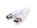 Miniatyrbild 4 av 5: C2G - USB-kabel - USB (hane) till USB typ B (hane) - USB 2.0 - 3 m - vit