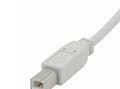 Miniatyrbild 5 av 5: C2G - USB-kabel - USB (hane) till USB typ B (hane) - USB 2.0 - 3 m - vit