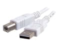 Miniatyrbild 2 av 5: C2G - USB-kabel - USB (hane) till USB typ B (hane) - USB 2.0 - 3 m - vit