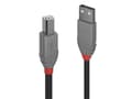 Miniatyrbild 1 av 5: Lindy 36671, 0,5 m, USB A, USB B, USB 2.0, 0,48 Gbit/s, Svart, Grå