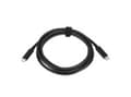 Miniatyrbilde 3 av 5: Lenovo - USB-kabel - 24 pins USB-C (han) til 24 pins USB-C (han) - 20 V - 3 A - 2 m