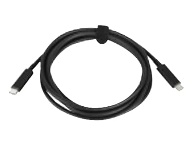 Lenovo - USB-kabel - 24 pins USB-C (han) til 24 pins USB-C (han) - 20 V - 3 A - 2 m