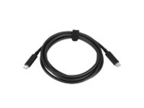 Lenovo - USB-kabel - 24 pins USB-C (han) til 24 pins USB-C (han) - 20 V - 3 A - 2 m