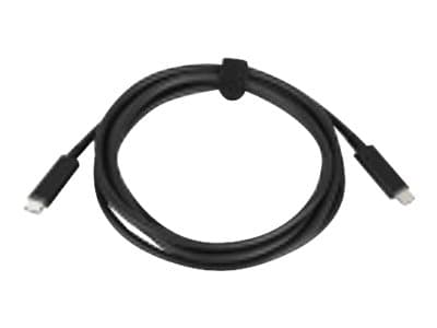 Lenovo - USB-kabel - 24 pins USB-C (han) til 24 pins USB-C (han) - 20 V - 3 A - 2 m