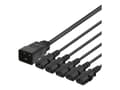 Pikkukuva 1 / 4: IEC C20 to 5x IEC C13 Power cable, 3m, 16A/250V, Y-Splitter