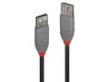 Pikkukuva 1 / 5: Lindy 36700, 0,2 m, USB A, USB A, USB 2.0, 480 Mbit/s, lajittelu, Grå