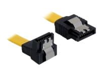 Delock Cable SATA - SATA-kabel - Serial ATA 150/300/600 - SATA (hona) till SATA (hona) - 20 cm - nedåtvinklad kontakt, sprintlåsning, rak kontakt - g