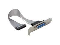Delock - Parallellpanel - DB-25 (hunn) til 26 pin IDC (hunn) - 22 cm