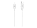 Miniatyrbilde 4 av 5: Celly - Lightning-kabel - 24 pin USB-C hann til Lightning hann - 1 m - hvit - Power Delivery-støtte