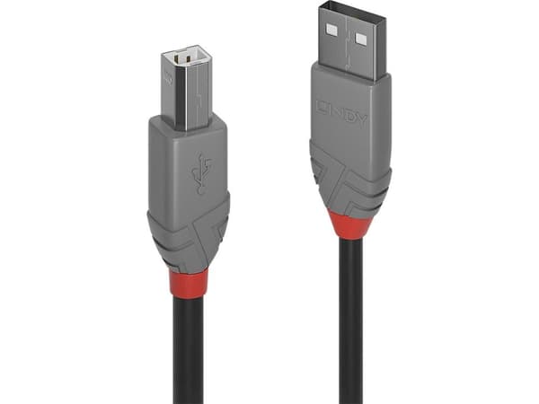 Lindy 36670, 0,2 m, USB A, USB B, USB 2.0, 0,48 Gbit/s, Svart, Grå