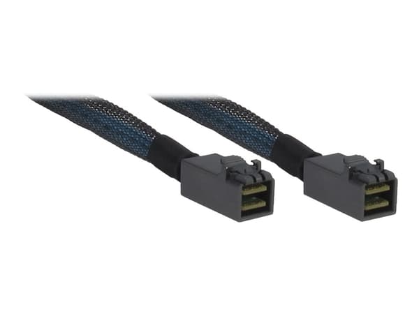 Inter-Tech - SAS internt kabel - SAS 12Gbit/s - 4 x Mini SAS HD (SFF-8643) til 4 x Mini SAS HD (SFF-8643) - 1 m - sort/blå