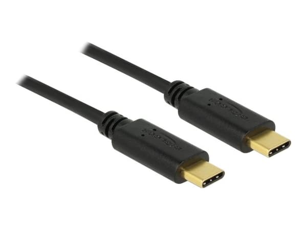 Delock - USB-kabel - 24 stift USB-C (han) till 24 stift USB-C (han) - USB 2.0 - 5 A - 1 m - sort