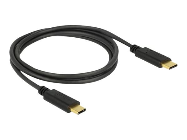 Delock - USB-kabel - 24 stift USB-C (han) till 24 stift USB-C (han) - USB 2.0 - 5 A - 1 m - sort