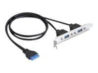 DeLOCK Slot bracket - USB-panel - 19 pin USB 3.0 samlekasse (hun) til USB Type A (hun) - 60 cm