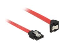 Delock - SATA-kabel - Serial ATA 150/300/600 - SATA (hane) till SATA (hane) - 30 cm - 90° kontakt, sprintlåsning - röd