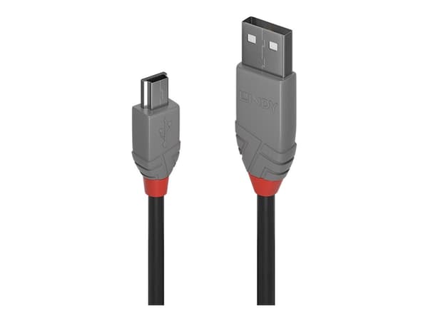 Lindy Anthra Line - USB-kabel - mini-USB type B (hann) til Micro-USB type B (hann) - USB 2.0 - 50 cm - rund - svart
