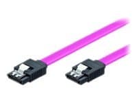 MicroConnect SATA II - SATA-kabel - Serial ATA 150/300 - SATA (hunn) til SATA (hunn) - 30 cm - låst