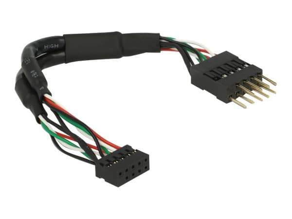 DeLOCK USB 2.0 Pin Header - USB-sisäkaapeli - 10-nastainen USB-liitäntäkotelo (naaras) - 10-nastainen USB-liitäntäkotelo (uros) - 12 m - musta - must