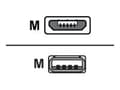 Miniatyrbild 3 av 4: Sharkoon - USB-kabel - mikro-USB typ B (hane) till USB (hane) - USB 2.0 - 2 m - svart