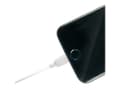 Miniatyrbild 3 av 5: Lindy 31328 USB-kablar 3 m USB A Vit