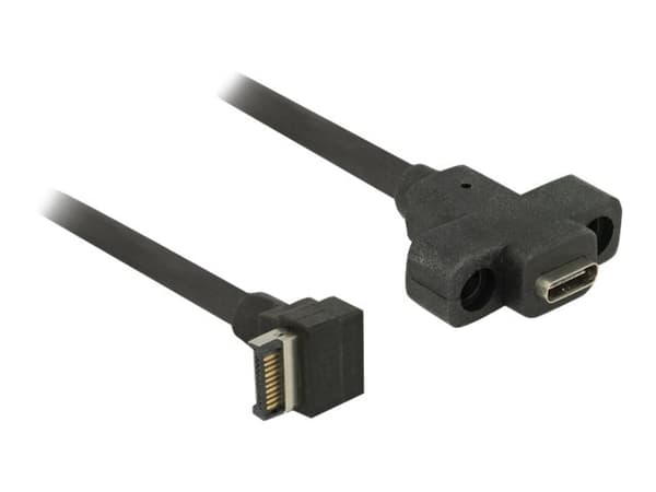 Delock - Intern-til-ekstern USB-kabel - 20-pins USB 3.0-plugg (hann) vinklet til 24 pin USB-C (hunn) panelmonterbar - 45 cm