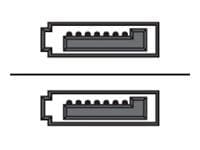 Sharkoon - SATA-kabel - Serial ATA 150/300/600 - SATA (hann) til SATA (hann) - 75 cm - 90°-kontakt - svart