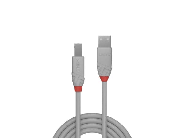 Lindy 36684, 3 m, USB A, USB B, USB 2.0, 0,48 Gbit/s, Grå
