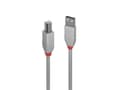Miniatyrbild 1 av 5: Lindy 36684, 3 m, USB A, USB B, USB 2.0, 0,48 Gbit/s, Grå