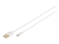 Miniatyrbild 1 av 5: DIGITUS - Lightning-kabel - Lightning hane till USB hane - 1 m - dubbelt skärmad - vit - formpressad